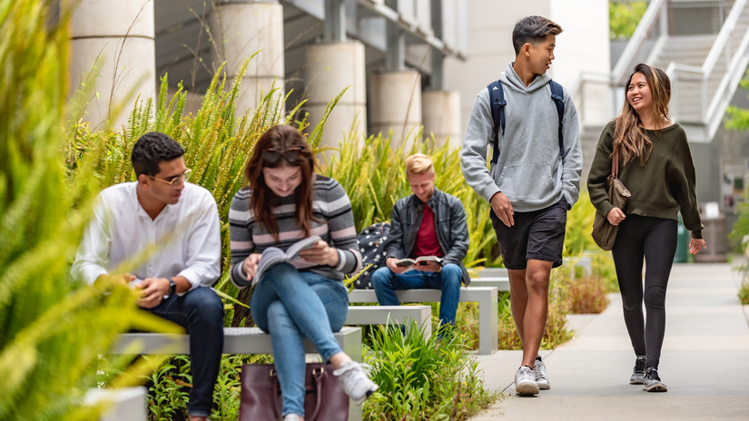 College Policies, Rules, and Regulations